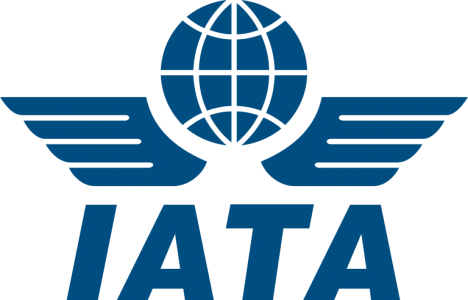 Logo: Internationale Luftverkehrs-Vereinigung